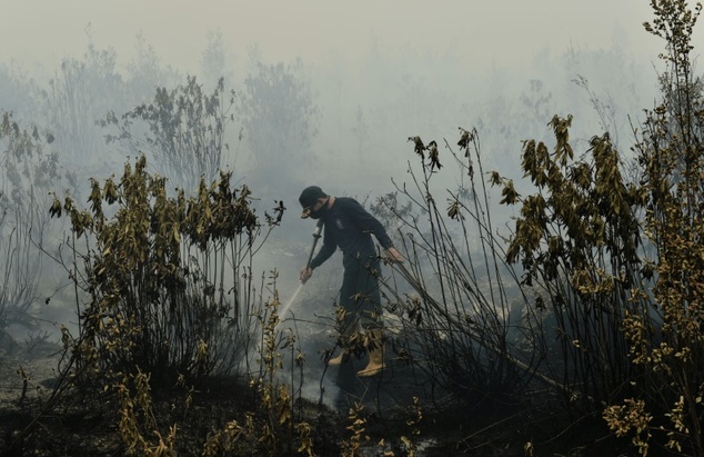 Lapan: 2.08 Juta Karhutla Hingga 20 Oktober, Kebakaran Terluas di Sumatera